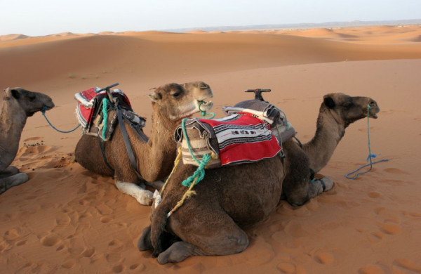 Sahara | Októbrová cesta po Maroku