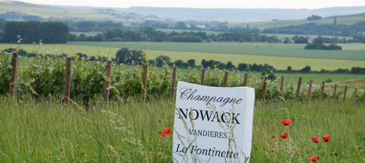 Kempingové vinárstvo Champagne Nowack